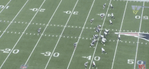 cianfahey  GIF