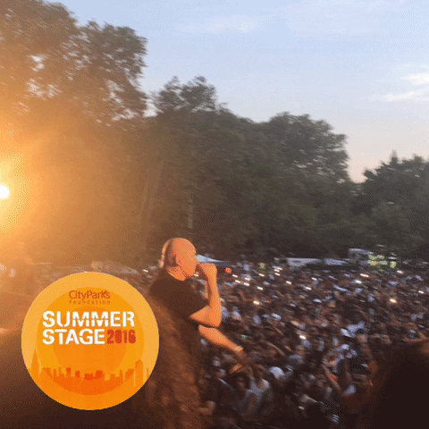 GIF by City Parks Foundation's SummerStage