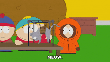 200.gif?cid=fc005b08bd22dca2b79d95c0629fcad768cef4d9c4858143&rid=200.gif&ct=g