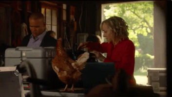 chicken law GIF by CBS