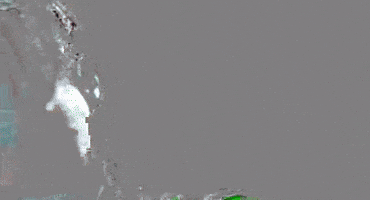 harmful  GIF