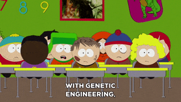 learning classroom GIF by South Park 