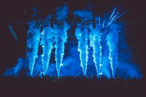 festival season festivals GIF by Tiësto