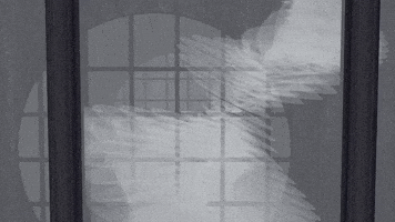 naowao space japan organic architecture GIF