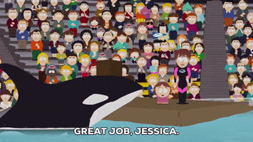 clapping whale GIF by South Park 