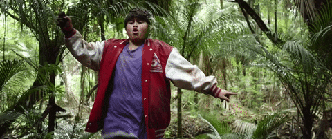 disco happy dance GIF by HUNT FOR THE WILDERPEOPLE  