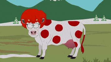 carrot top cow GIF by South Park 