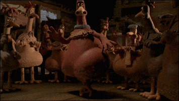 celebrate chicken run GIF by Aardman Animations