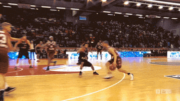 anton gavel trick GIF by easyCredit Basketball Bundesliga