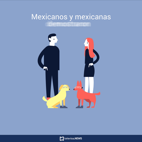 Ciudad De Mexico GIF