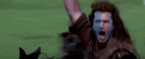 Freedom Braveheart GIF by David - Find & Share on GIPHY