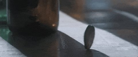 heads or tails coin GIF by Matt Maeson