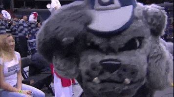 excited big east GIF by BIG EAST Conference
