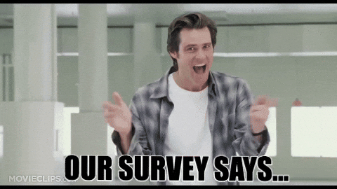 Survey Gifs Get The Best Gif On Giphy - 