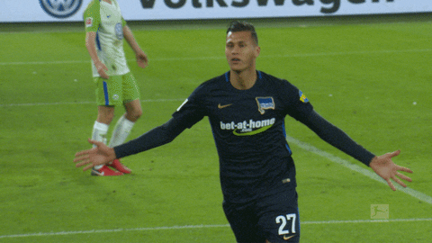 giphy.gif