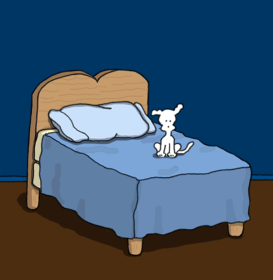 Sweet Dreams Bed GIF by Chippy the dog Find & Share on GIPHY