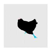 run chicken GIF by Andrea C.
