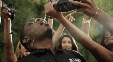 bottle champagne GIF by Luc Belaire