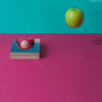collage accessories GIF by Passch