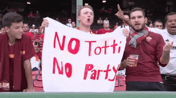 fans totti GIF by AS Roma