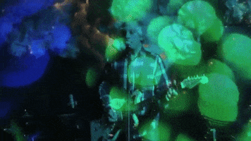 Between The Times And The Tide GIF