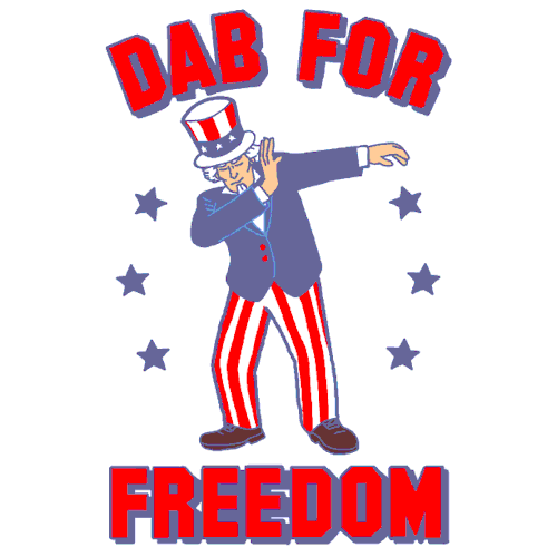 happy 4th of july GIF by LookHUMAN