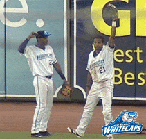 high five grand rapids GIF by West Michigan Whitecaps 