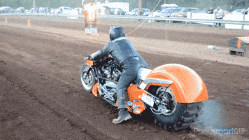 200.gif?cid=fc005b0892bf9e69b963d2ebcd9aea74a250cc068a536a72&rid=200.gif&ct=g