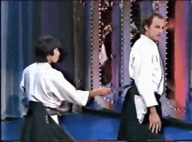 patri steven seagal GIF