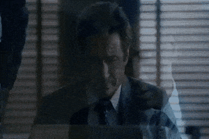x files GIF by The X-Files