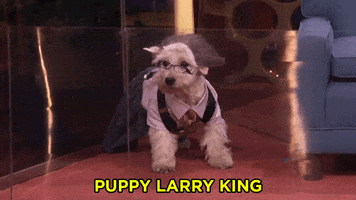 Larry King Puppies GIF by Team Coco