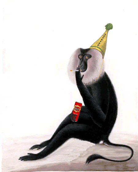 simonleser smoke monkey circus cigarette GIF