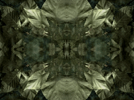 thecopyriots vj copyriots unmanned futures GIF