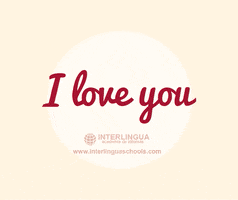 Oscuelar love amor granada sanvalentin GIF