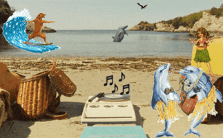 beach dolphins GIF