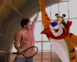 tommy  GIF