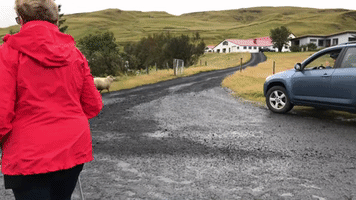 Donovandon  GIF