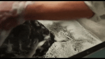 bathing will arnett GIF by Show Dogs Movie