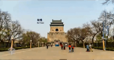 china peking GIF
