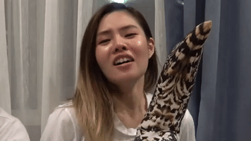 Kanninich GIF