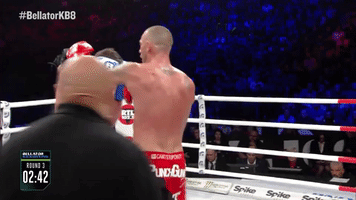 punch italy GIF by Bellator