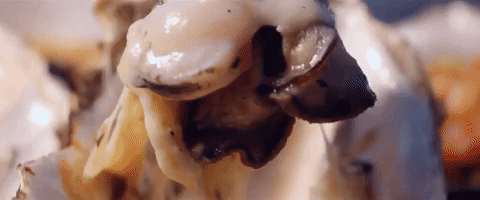 chinese food zhong guo cai GIF