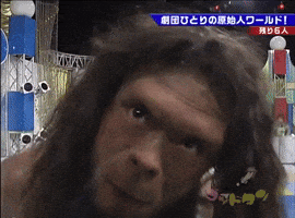 Game Show Television GIF