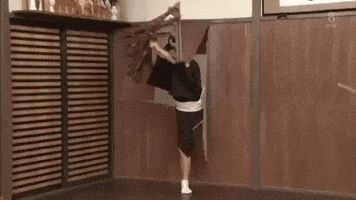 Break Through Wall GIFs - Get the best GIF on GIPHY