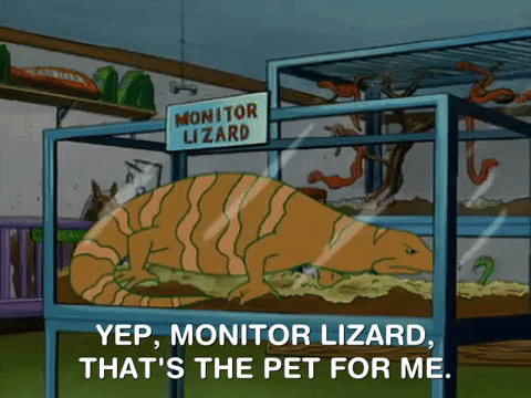 monitor lizard meaning, definitions, synonyms