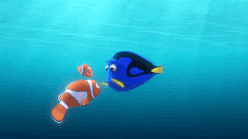 Finding Dory Disney GIF by Disney/Pixar's Finding Dory