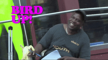 bird up GIF by The Eric Andre Show