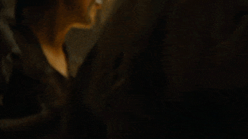 manenti_boris got GIF