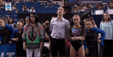 200.gif?cid=fc005b08c5f8c6c184c894f52d9ef16c53f0286c9cd15c17&rid=200.gif&ct=g
