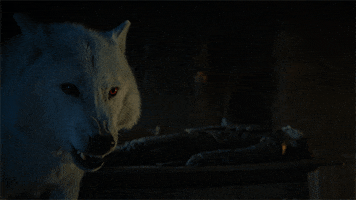 200.gif?cid=fc005b083d8551d9ca37e22ce140bdb089d6db02cc0a3091&rid=200.gif&ct=g